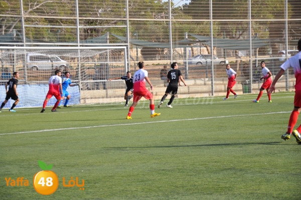 7akam mobaarra3 (10).JPG